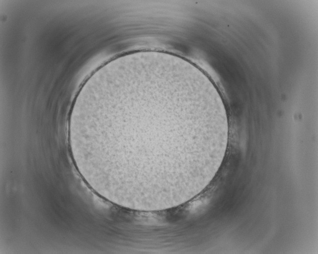 X0000082700807200702232229