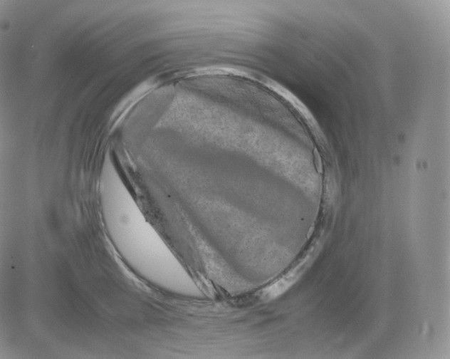 X0000082700809200702232229