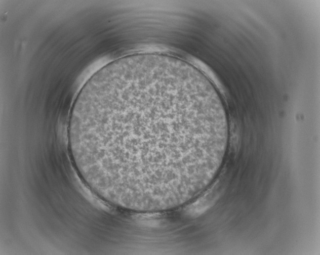 X0000082700810200702232228