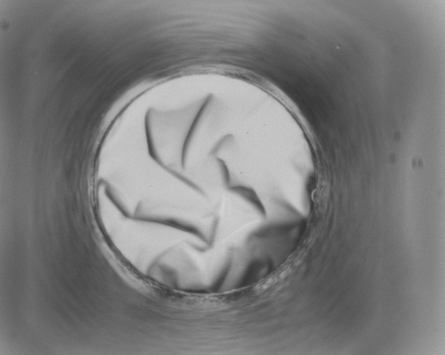 X0000082700811200702232228