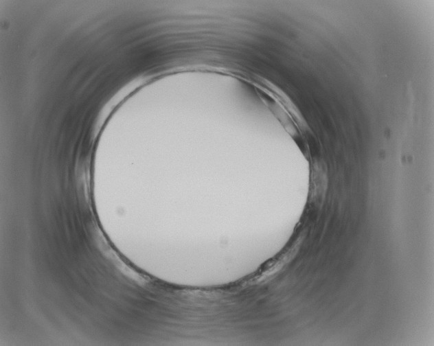 X0000082700812200702232228