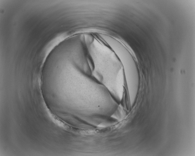 X0000082700813200702232228