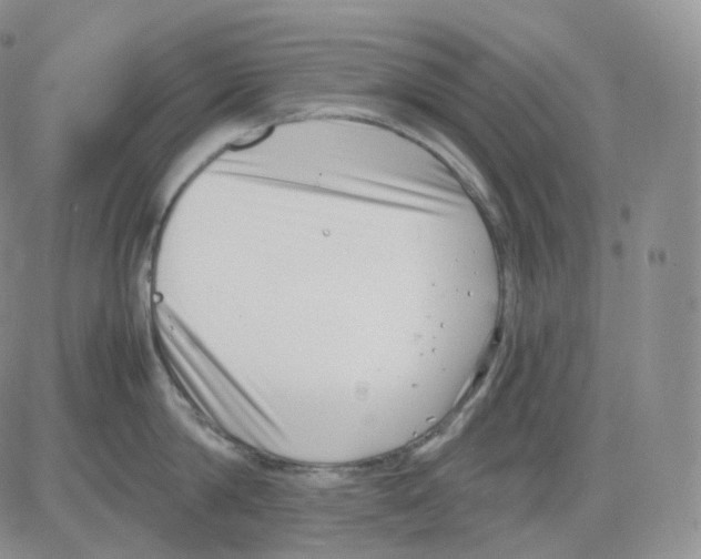 X0000082700814200702232228