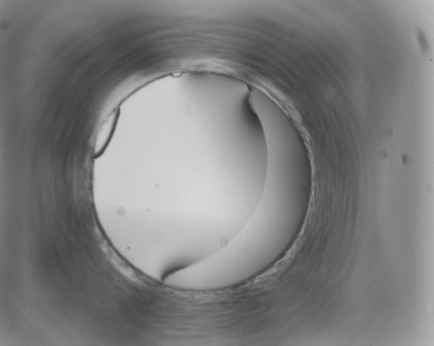 X0000082700816200702232228