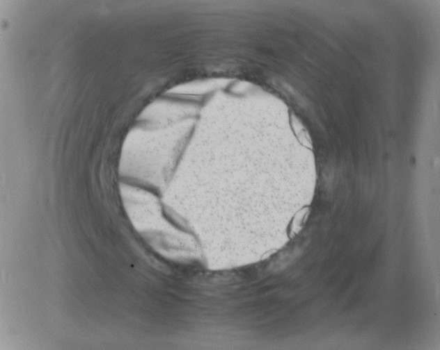 X0000082700817200702232228