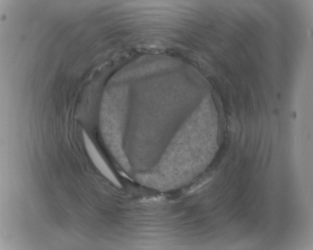 X0000082700818200702232228