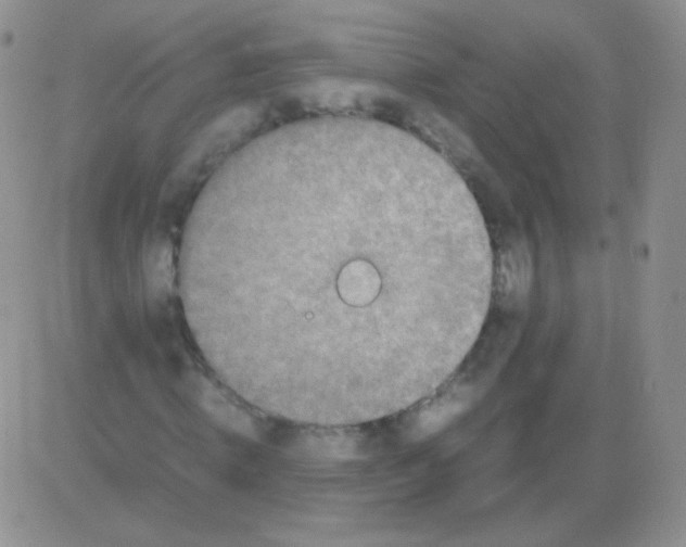 X0000082700820200702232228