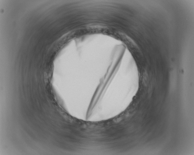 X0000082700821200702232228