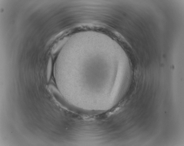 X0000082700822200702232228