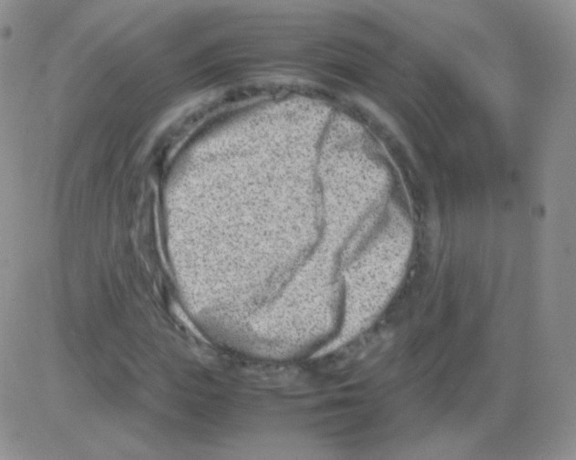 X0000082700823200702232228