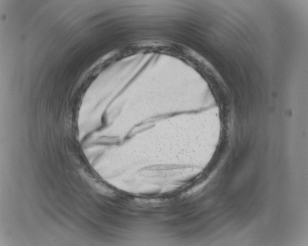 X0000082700825200702232228