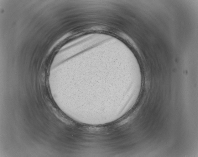 X0000082700827200702232228