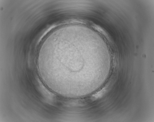 X0000082700828200702232228