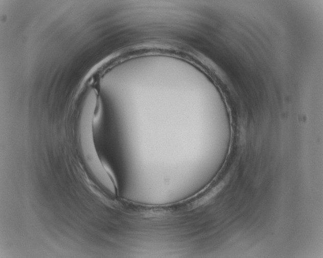 X0000082700830200702232228