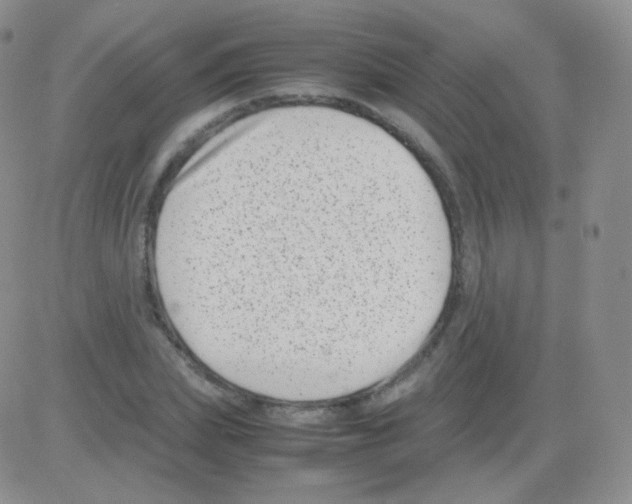 X0000082700831200702232228