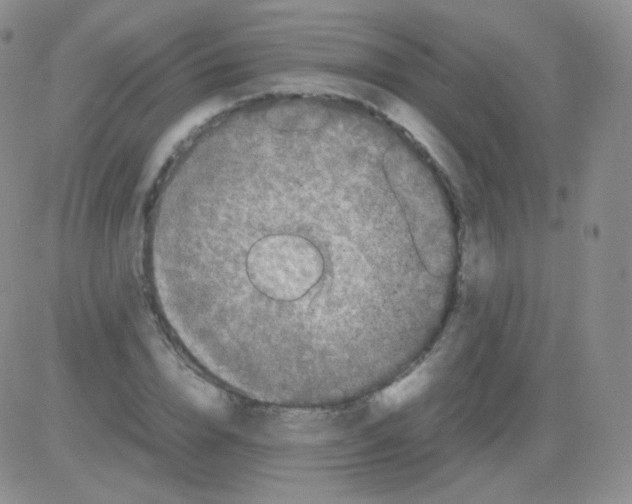 X0000082700832200702232228