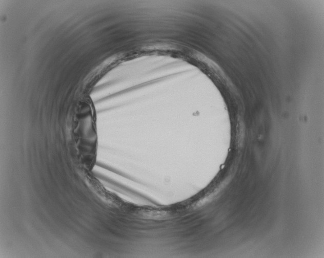 X0000082700833200702232228