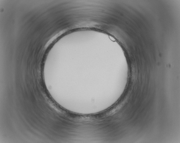 X0000082700834200702232228