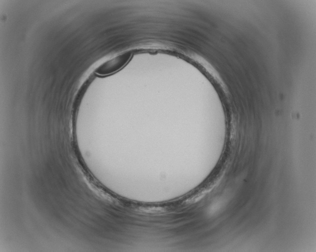 X0000082700837200702232228