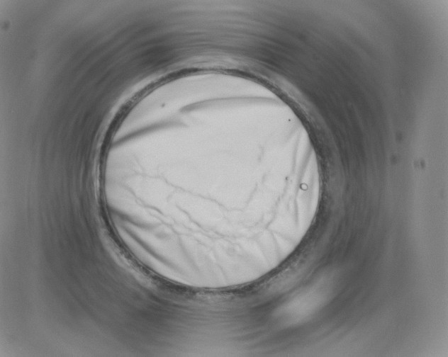 X0000082700840200702232228