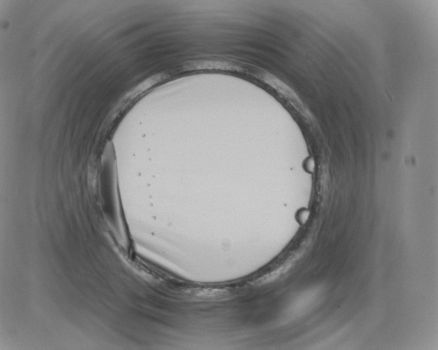 X0000082700841200702232228