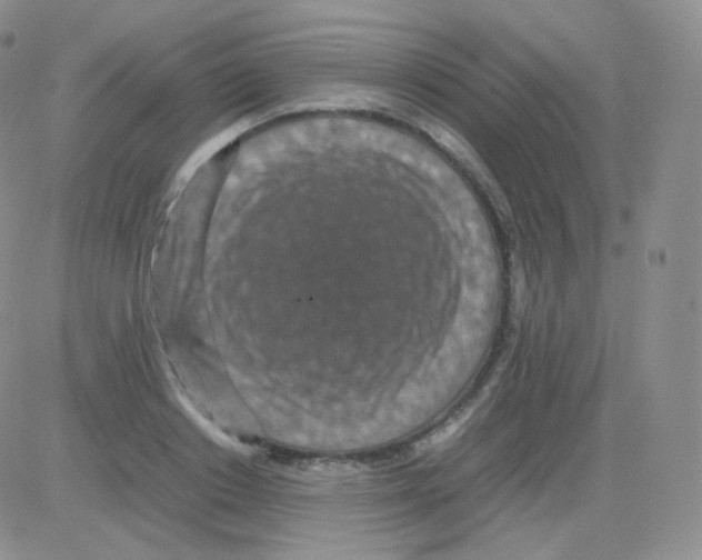 X0000082700842200702232228