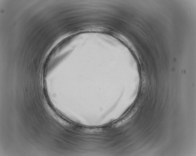 X0000082700843200702232228