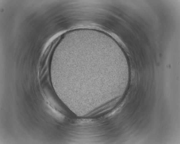 X0000082700846200702232228