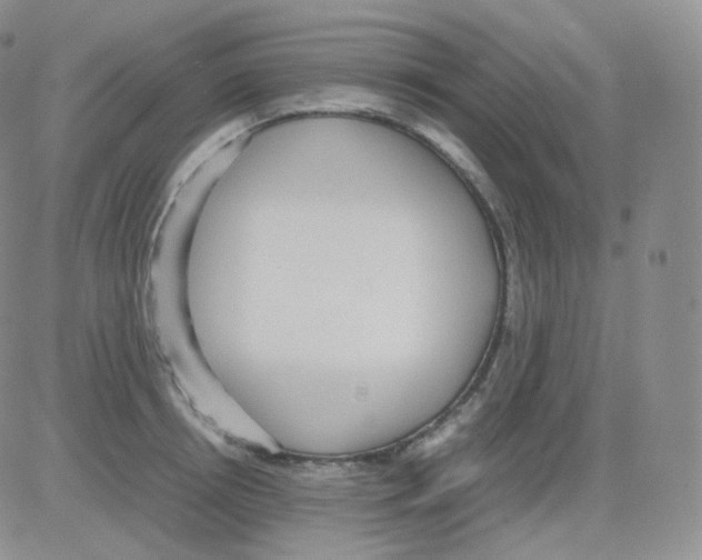 X0000082700850200702232228