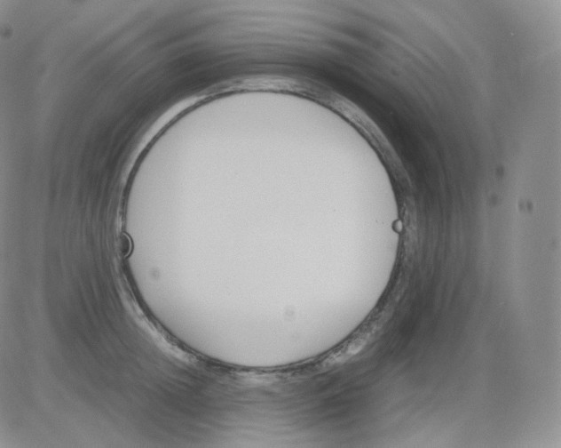 X0000082700852200702232228