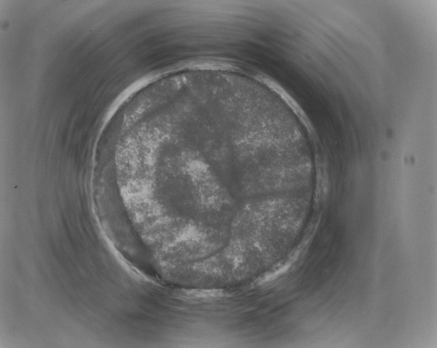 X0000082700853200702232228