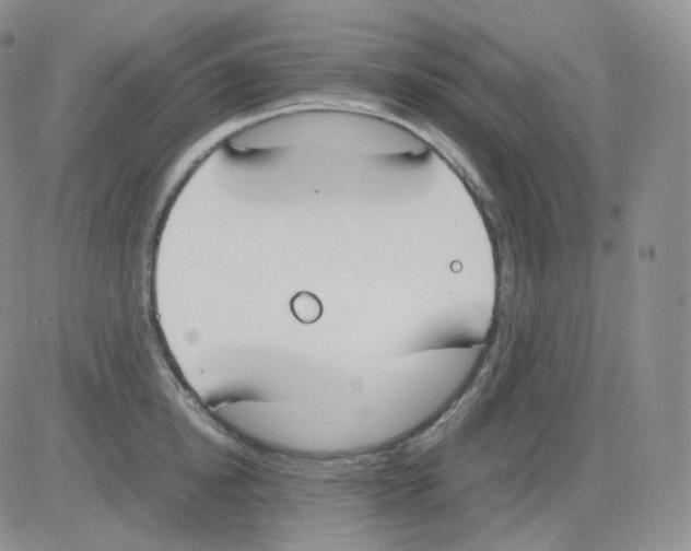 X0000082700854200702232228