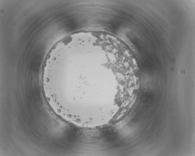 X0000082700856200702232228