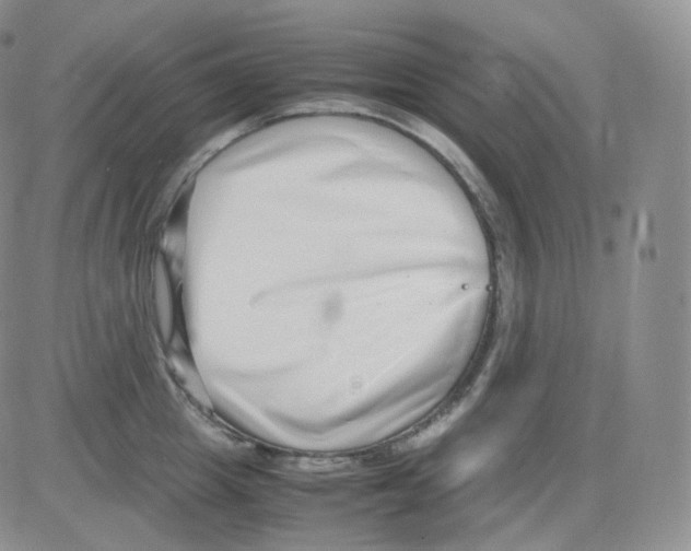 X0000082700857200702232228