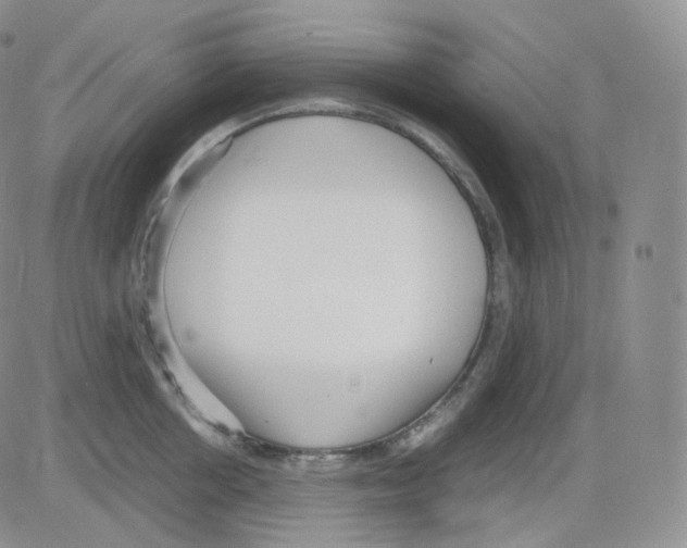 X0000082700858200702232228