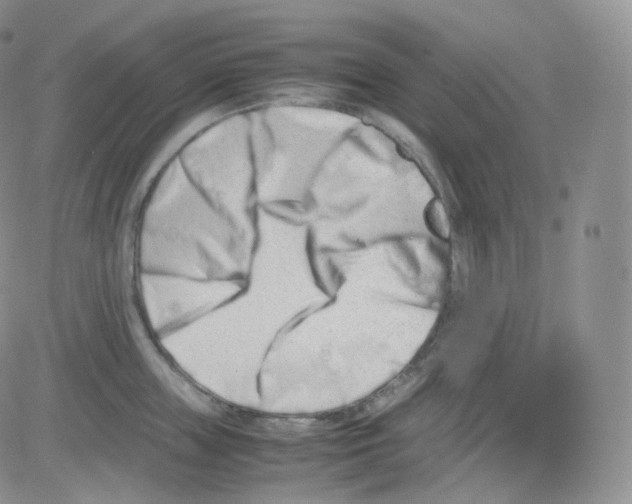 X0000082700859200702232228