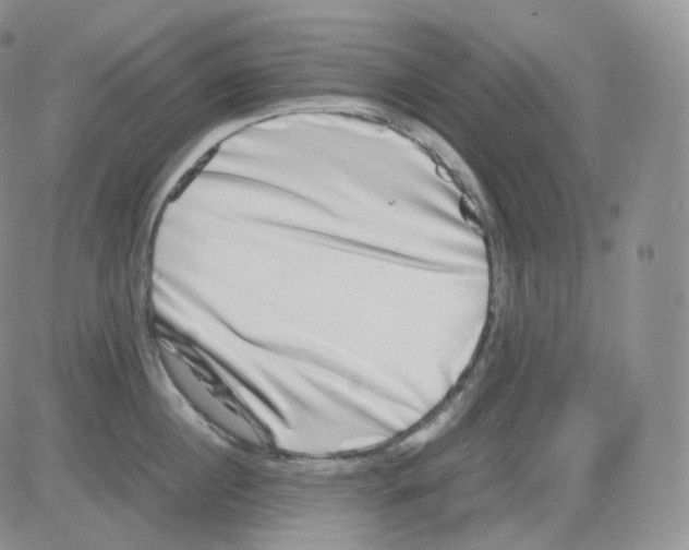 X0000082700860200702232228