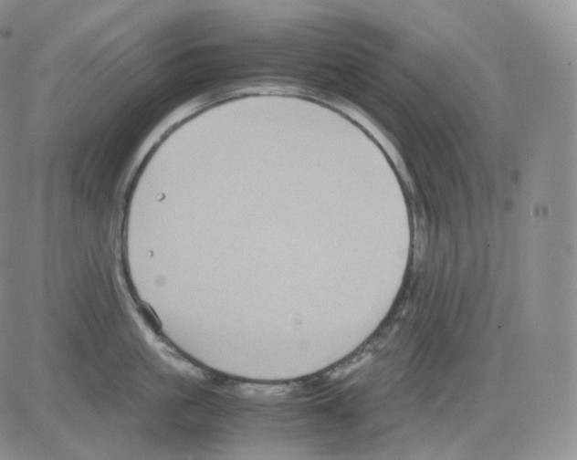 X0000082700861200702232228