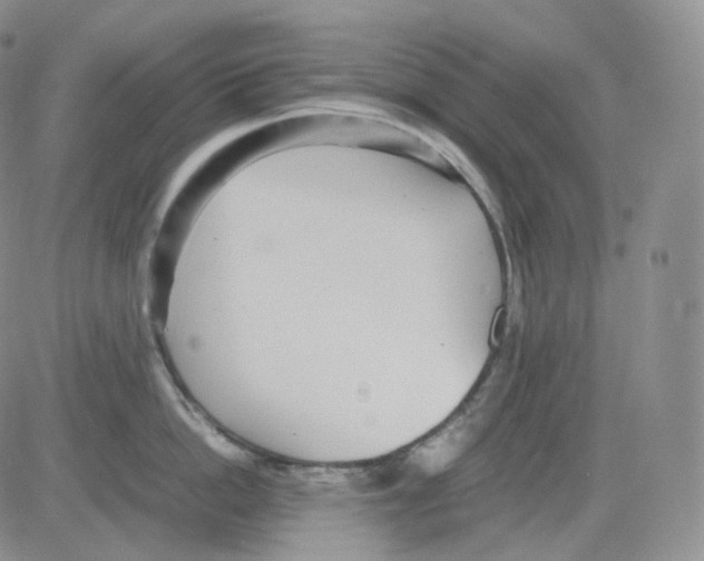 X0000082700862200702232228