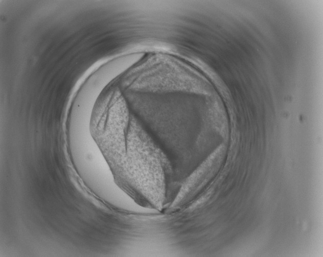 X0000082700864200702232228