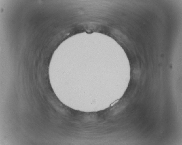 X0000082700865200702232228