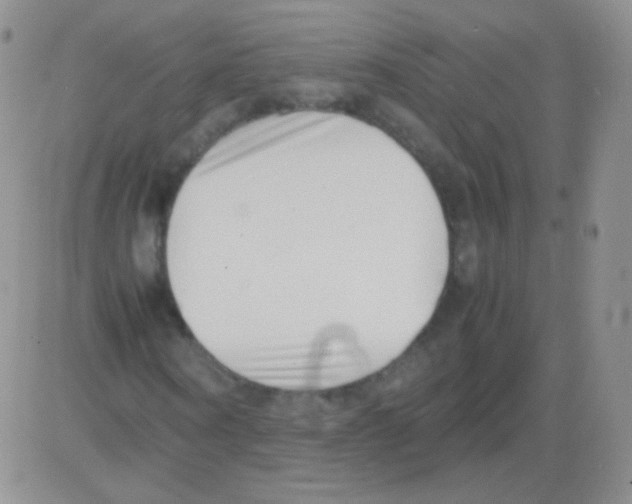 X0000082700866200702232228