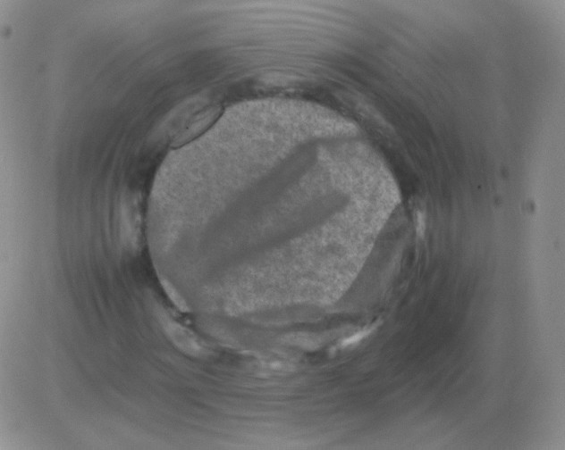 X0000082700868200702232228