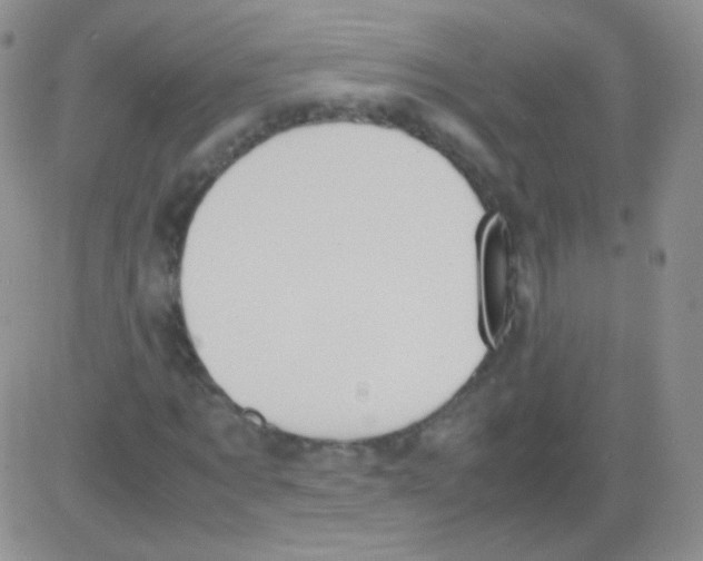 X0000082700869200702232228