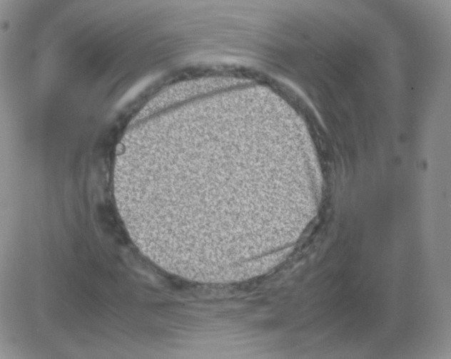 X0000082700871200702232227