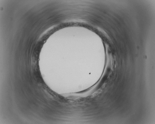 X0000082700872200702232227