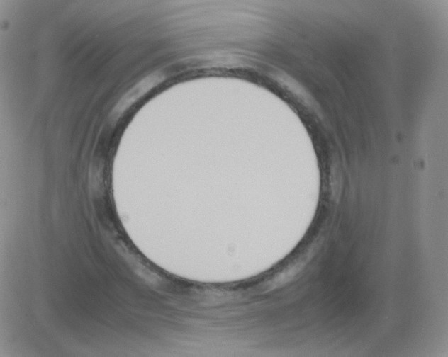 X0000082700873200702232227