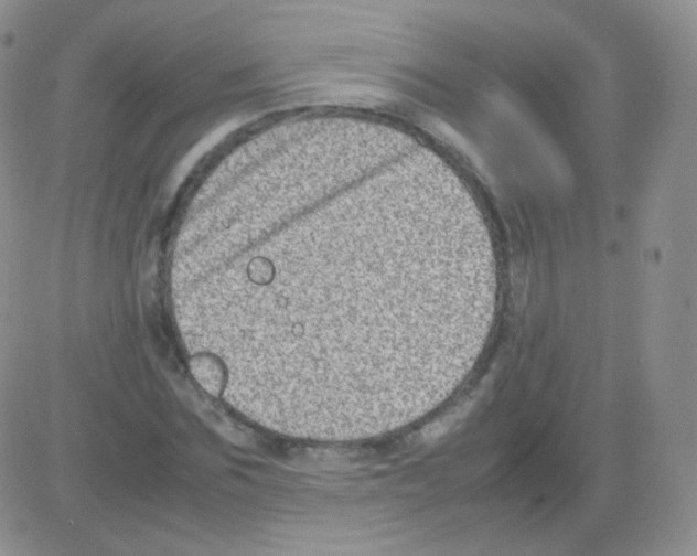 X0000082700875200702232227