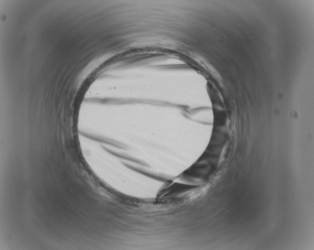 X0000082700877200702232227