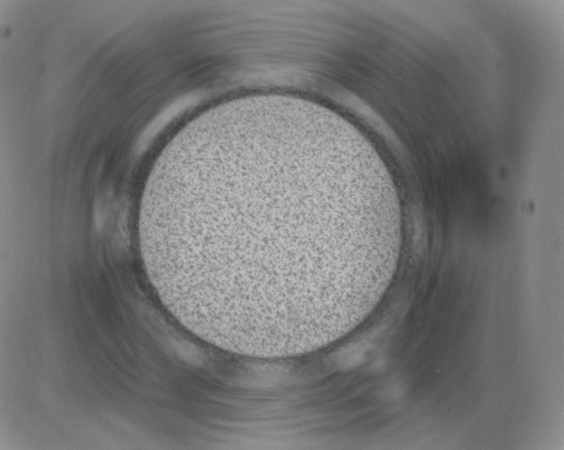 X0000082700878200702232227